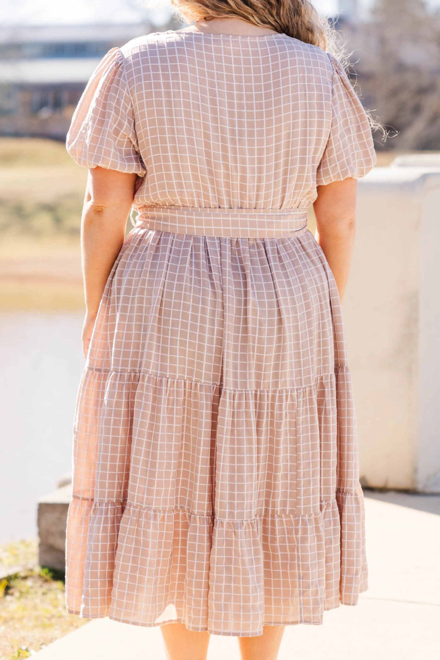 Distant Voyages Dress, Taupe 6 Distant Voyages Dress, Taupe - Image 6